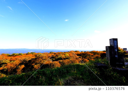 那須高原 八幡崎の紅葉／栃木県那須町 110376576
