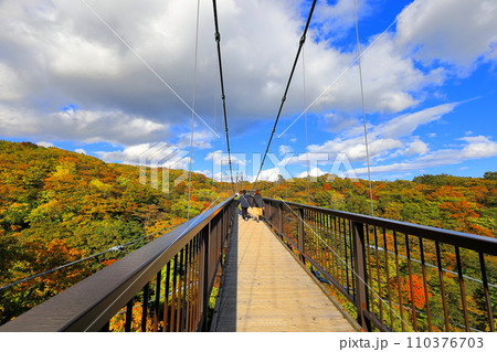 那須高原 つつじ吊り橋/栃木県那須町 那須高原 つつじ吊り橋/栃木県那須町 110376703