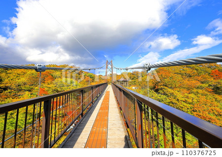 那須高原 つつじ吊り橋/栃木県那須町 那須高原 つつじ吊り橋/栃木県那須町 110376725