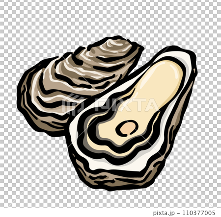 牡蠣(真牡蠣)手寫筆式線條畫插圖 牡蠣(真牡蠣)手寫筆式線條畫插圖 110377005