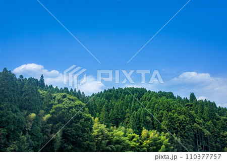 杉山の稜線と青空 110377757