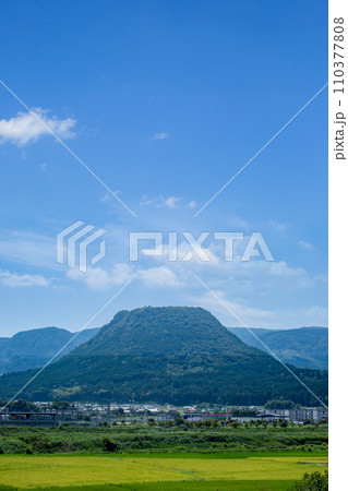 玖珠盆地の水田と伐株山 110377808