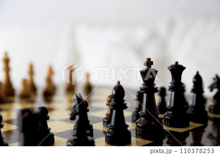 チェスセット チェス盤と駒のイメージカット 110378253