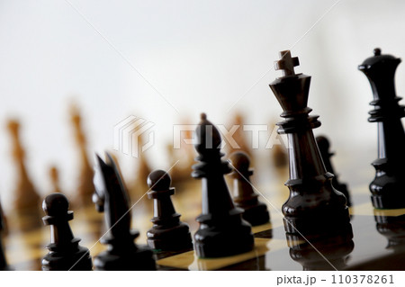 チェスセット チェス盤と駒のイメージカット 110378261