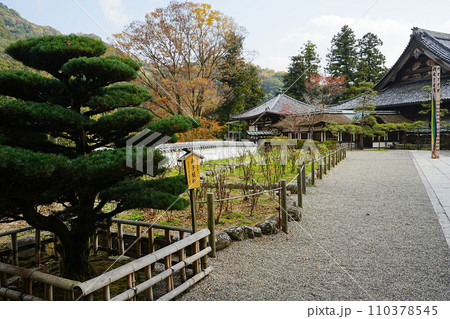 日本 奈良 長谷寺 本坊 110378545