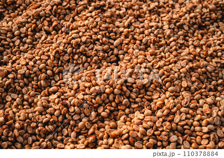 Coffee beans are being dried in a drying plant Coffee beans are being dried in a drying plant 110378884
