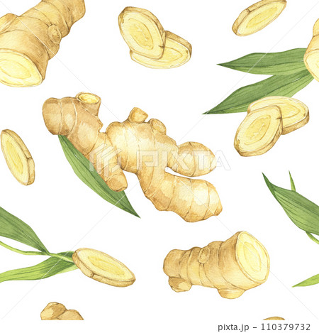 Watercolor illustration of spice ginger, half, leaves and slices. Hand-drawn seamless pattern. Ginger root for food design. Kitchen herb and spice 110379732