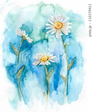 Abstract art background with watercolor flowers Daisy. Not isolated. turquoise wallpaper. Hand drawn illustration of Chamomile. bouquet of white blossom flowers. Drawing botanical clipart invitation 110379921