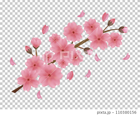 花びらが舞う背景素材　桜のイラスト 110380156