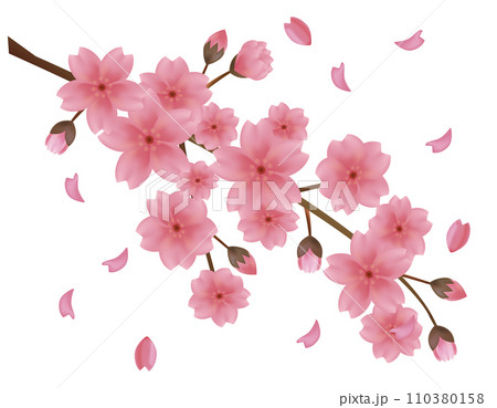 花びらが舞う背景素材 桜のイラスト 花びらが舞う背景素材 桜のイラスト 110380158