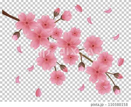 花瓣舞動的背景素材-櫻花插畫 花瓣舞動的背景素材-櫻花插畫 110380158