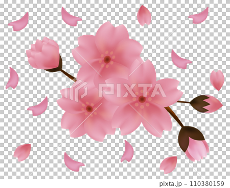 花瓣舞動的背景素材-櫻花插畫 花瓣舞動的背景素材-櫻花插畫 110380159