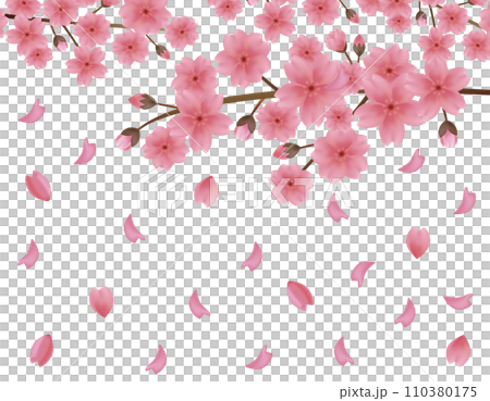 花びらが舞う背景素材　桜のイラスト 110380175