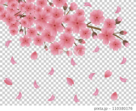 花びらが舞う背景素材　桜のイラスト 110380176