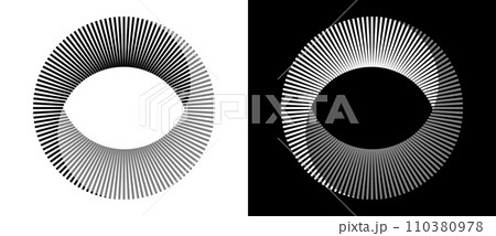 Abstract background with lines in circle. Art design spiral as logo or icon. A black figure on a white background and an equally white figure on the black side. 110380978