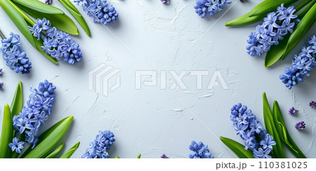 Hyacinths on light background Hyacinths on light background 110381025
