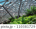 glass roof indoor safety park with green different plants lit by winter sunlight, nobody. 110381729