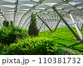 glass roof indoor safety park with green hill and different bushes lit by sunlight, nobody. 110381732