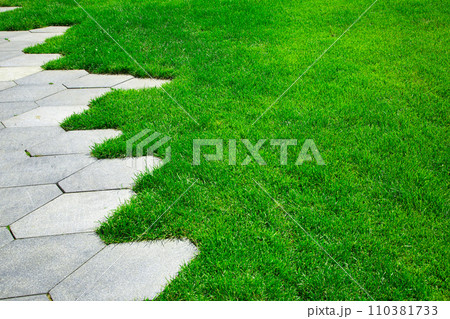 pavement with concrete tiles honeycomb pattern and green lawn lit by sunlight close-up, nobody. 110381733