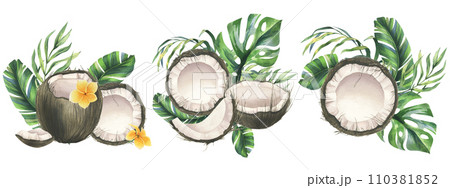 Coconuts whole, halves and pieces with bright, green, tropical palm leaves. Hand drawn watercolor illustration. Set of pre-made compositions isolated from the background. Coconuts whole, halves and pieces with bright, green, tropical palm leaves. Hand drawn watercolor illustration. Set of pre-made compositions isolated from the background. 110381852