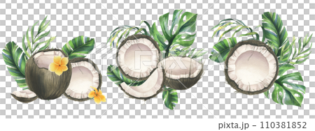 Coconuts whole, halves and pieces with bright, green, tropical palm leaves. Hand drawn watercolor illustration. Set of pre-made compositions isolated from the background. Coconuts whole, halves and pieces with bright, green, tropical palm leaves. Hand drawn watercolor illustration. Set of pre-made compositions isolated from the background. 110381852