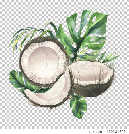 Coconuts whole, halves and pieces with bright, green, tropical palm leaves. Hand drawn watercolor illustration. Pre-made composition isolated from the background. Coconuts whole, halves and pieces with bright, green, tropical palm leaves. Hand drawn watercolor illustration. Pre-made composition isolated from the background. 110381861