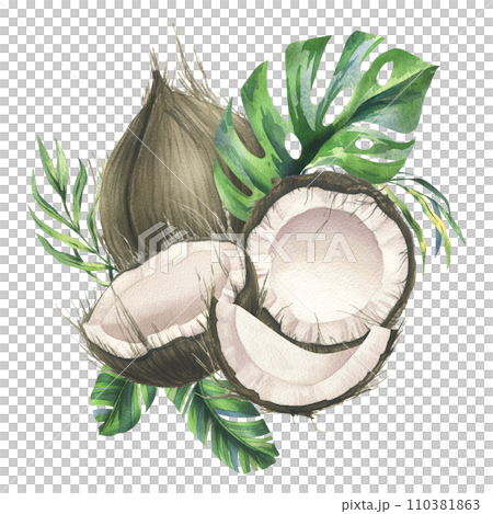 Coconuts whole, halves and pieces with bright, green, tropical palm leaves. Hand drawn watercolor illustration. Pre-made composition isolated from the background. Coconuts whole, halves and pieces with bright, green, tropical palm leaves. Hand drawn watercolor illustration. Pre-made composition isolated from the background. 110381863