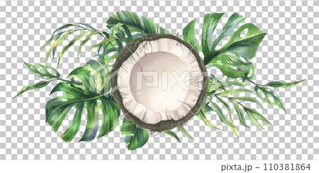 Coconuts whole, halves and pieces with bright, green, tropical palm leaves. Hand drawn watercolor illustration. Pre-made composition isolated from the background. 110381864
