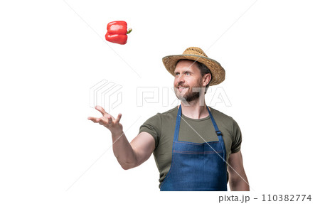 man in apron and hat with sweet pepper vegetable isolated on white. vegetarian 110382774