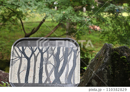 この皿にどんな盛り付けの料理が 110382829