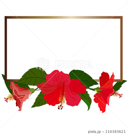 Isolated object-77. Hibiscus flowers, golden frame, white background. Isolated object-77. Hibiscus flowers, golden frame, white background. 110383621