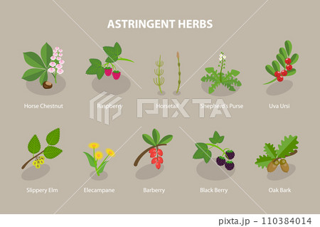 3D Isometric Flat Vector Set of Astringent Herbs 110384014