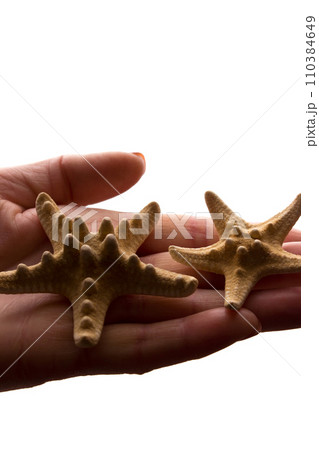 Female hands with rare starfish figure - dark isolated silhouette, concept Female hands with rare starfish figure - dark isolated silhouette, concept 110384649