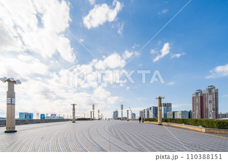 「東京都」夢の大橋からの風景・シンボルプロムナード公園 「東京都」夢の大橋からの風景・シンボルプロムナード公園 110388151