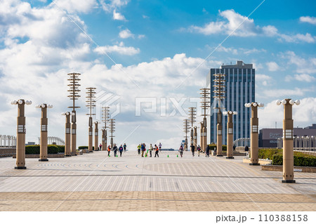 「東京都」夢の大橋からの風景・シンボルプロムナード公園 110388158
