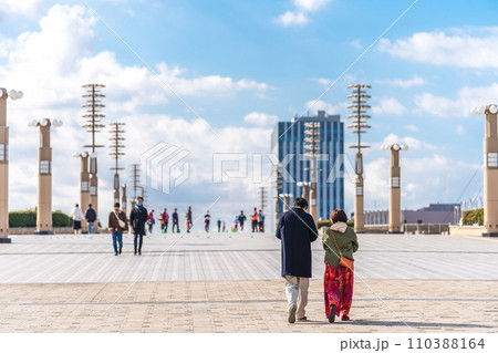 「東京都」夢の大橋からの風景・シンボルプロムナード公園 110388164