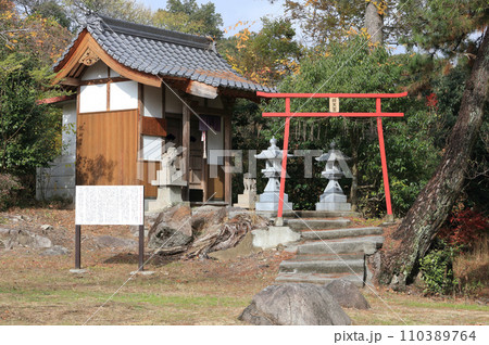 滝宮公園内の弁天宮(香川県の滝宮天満宮近く、旧金毘羅街道沿いの綾川河川敷) 滝宮公園内の弁天宮(香川県の滝宮天満宮近く、旧金毘羅街道沿いの綾川河川敷) 110389764