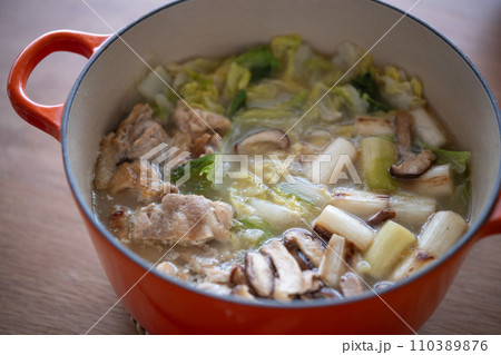 鶏肉と長ネギのパイタンスープ 110389876