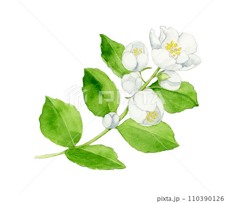 花の絵 花の絵 すずらん アート 「巡る幸せを花束に」