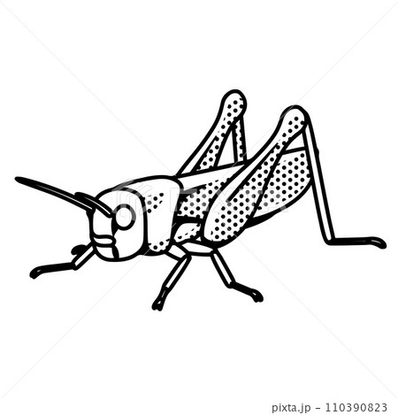 漫画風トノサマバッタ 漫画風トノサマバッタ 110390823