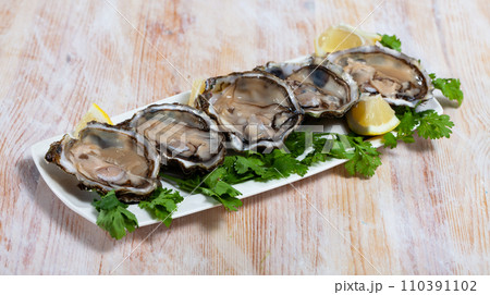 Opened raw oysters with lemon and parsley 110391102