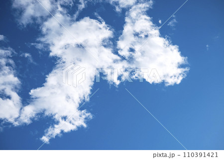 冬の空 青空 イメージ 【神奈川県 平塚市】 110391421