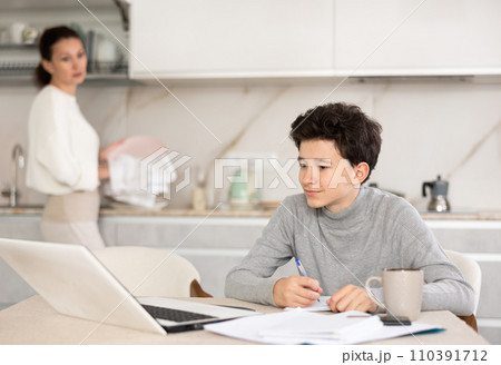 Boy studiyng using laptop Boy studiyng using laptop 110391712