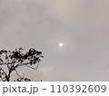曇り空のうっすらとした雲の間に覗いた月のある風景 110392609
