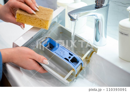 Housewife hands cleaning plastic container of washing machine use sponge and water at bathroom sink 110393091
