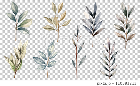 Stylish plant watercolor illustration with gentle colors 110393213