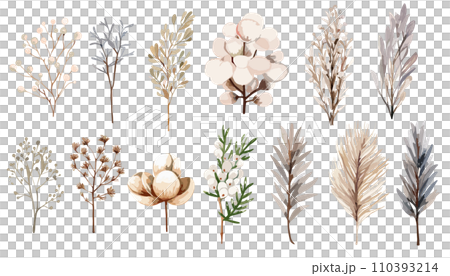以淺色水彩繪製的花朵插圖 110393214