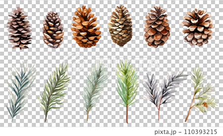Watercolor illustration set of pine cones and pine branches Watercolor illustration set of pine cones and pine branches 110393215