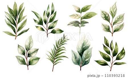 緑のオシャレな植物の枝の水彩イラストセット 緑のオシャレな植物の枝の水彩イラストセット 110393218