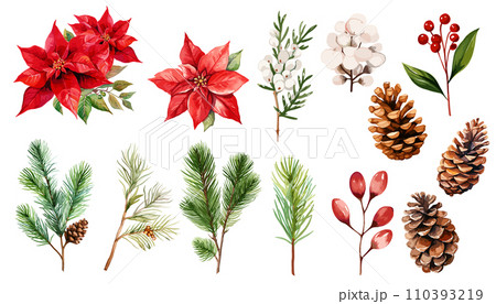 ポインセチアと松ぼっくりの冬の植物の水彩イラストセット 110393219